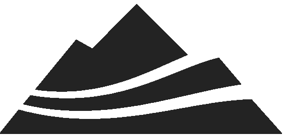 DSS